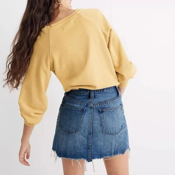 NWOT Madewell Rigid Denim A-Line Mini Skirt in Hughes Wash Button-Front Edition - Picture 3 of 13